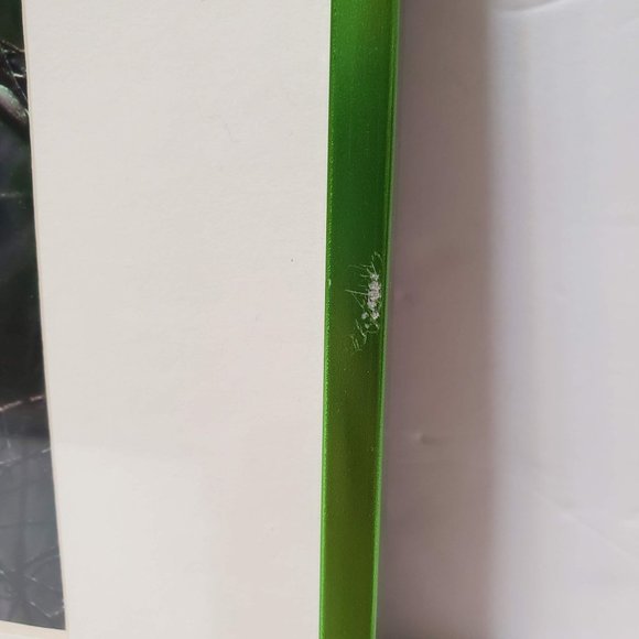 Framed Egret Photograph Print, signed Paulette Thomas, Matted, Bird Art - Picture 5 of 7